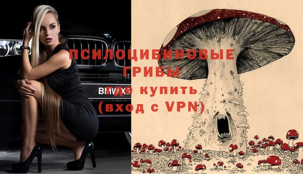 марки lsd Гусиноозёрск