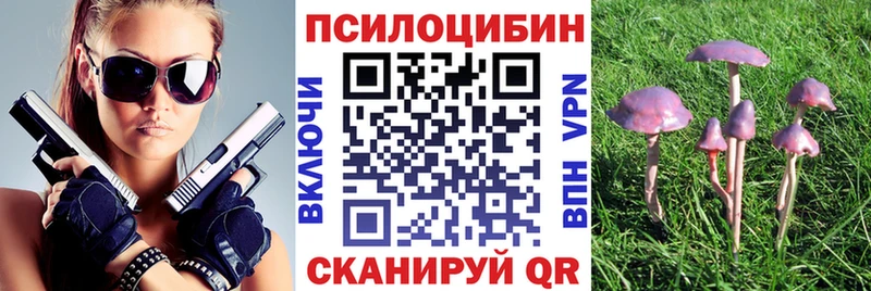 цены   Черняховск  Псилоцибиновые грибы GOLDEN TEACHER 